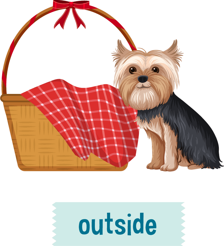 preposition wordcard with dog and box