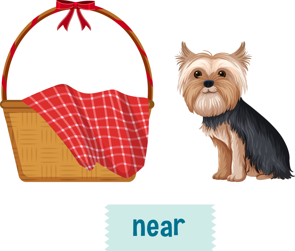 preposition wordcard with dog and box