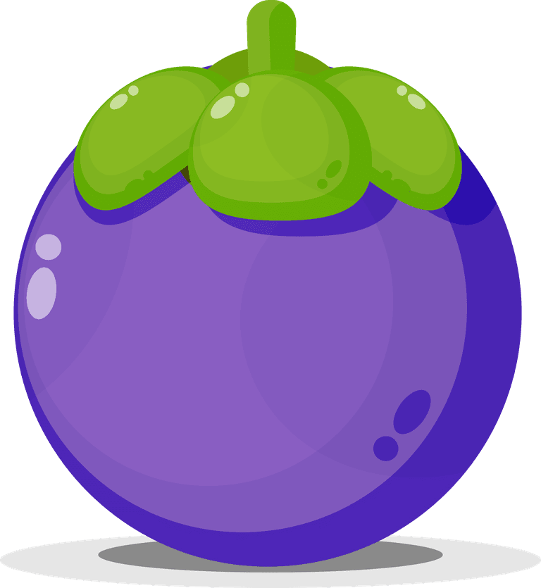 purple cute mangosteen mascot