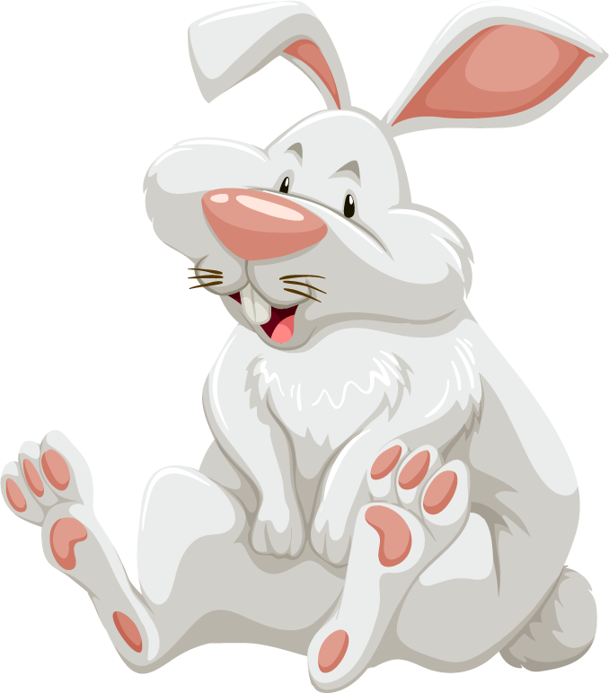 rabbit many different animals forest scene
