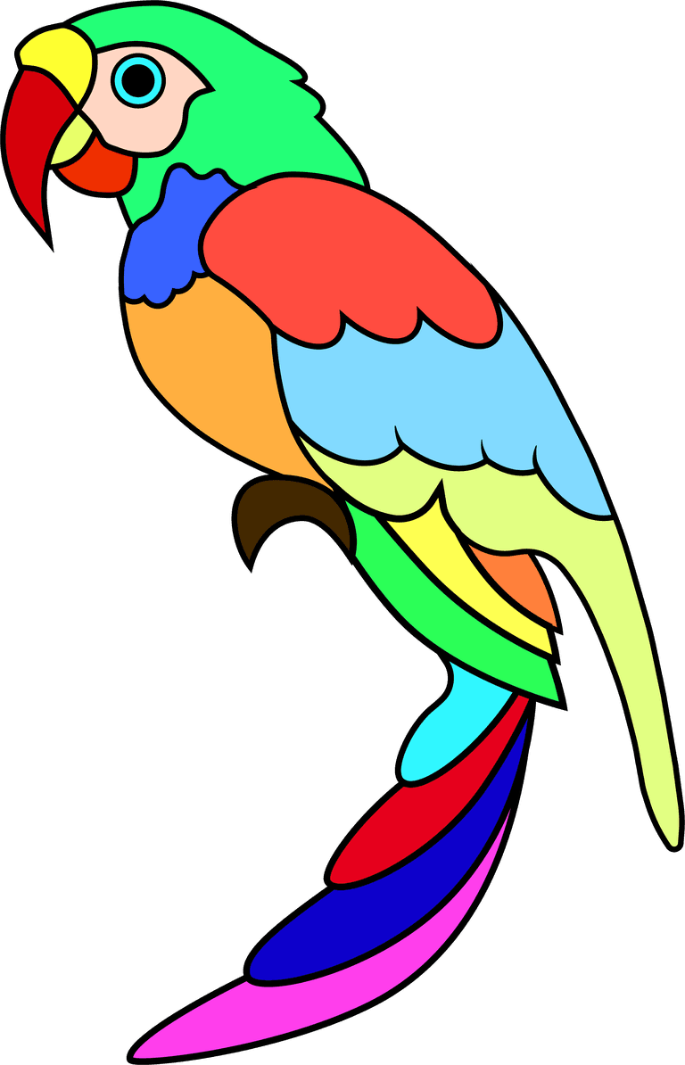 rainbow parrot parrot colorful striking beautiful