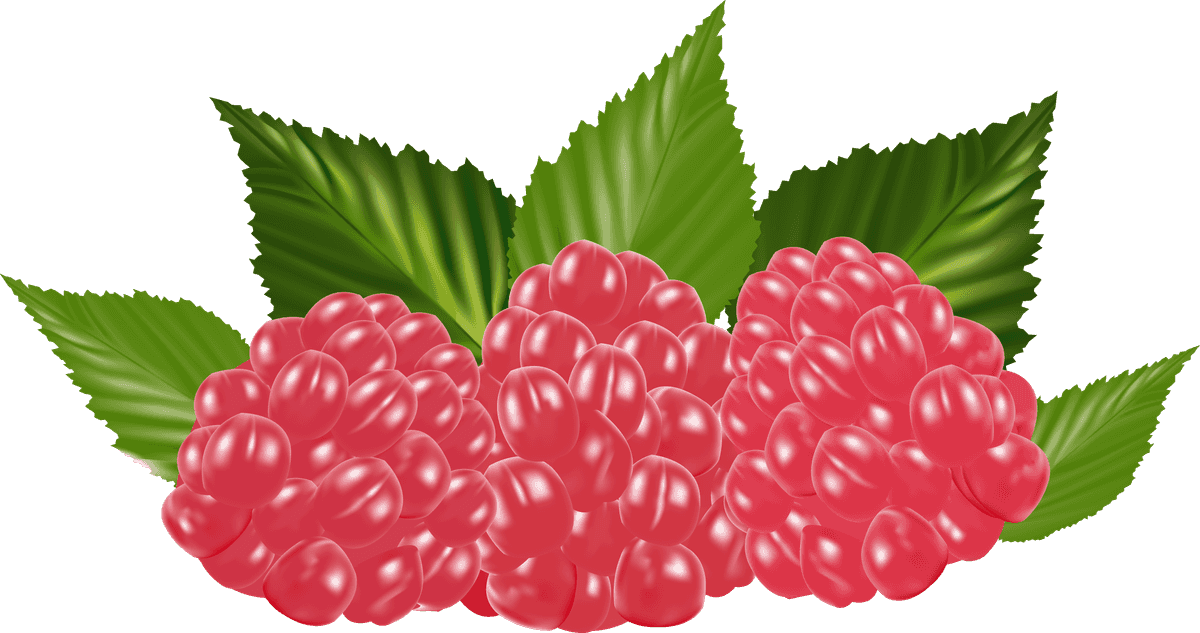 raspberries free construction machines for creative projects and fresh designs