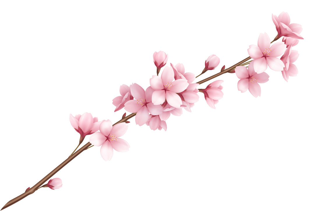 realistic beautiful sakura branches flowers petals illustration