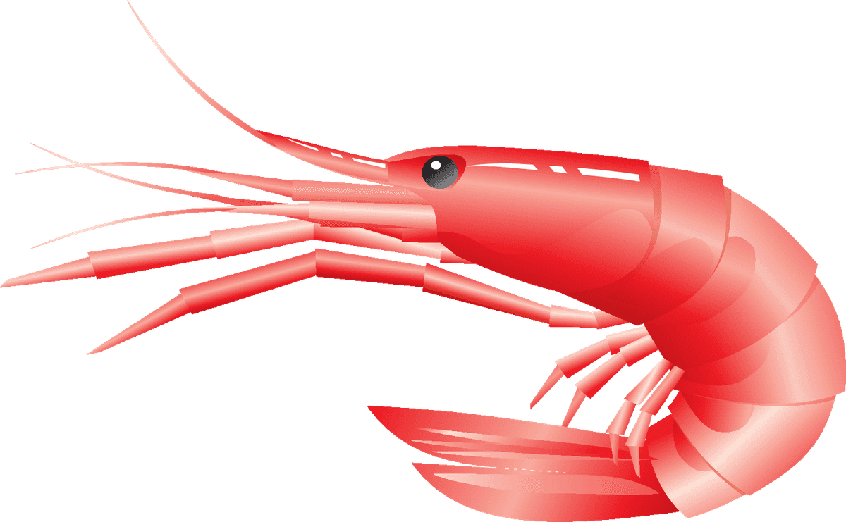 realistic food element food pyramid with vibrant shrimp showcasing seafood nutrition
