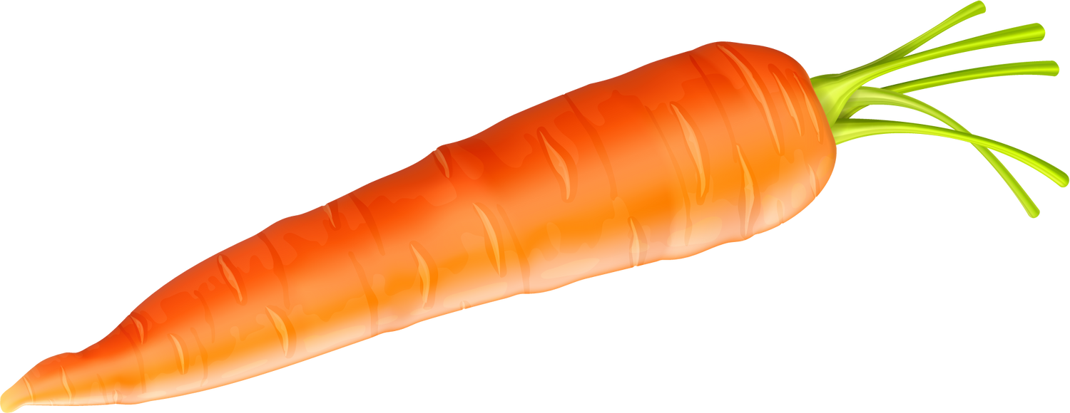 realistic food element illustration of a freshly harvested carrot bursting with vibrant colors