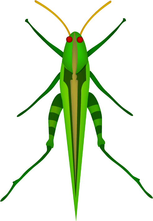 realistic lively insects illustration