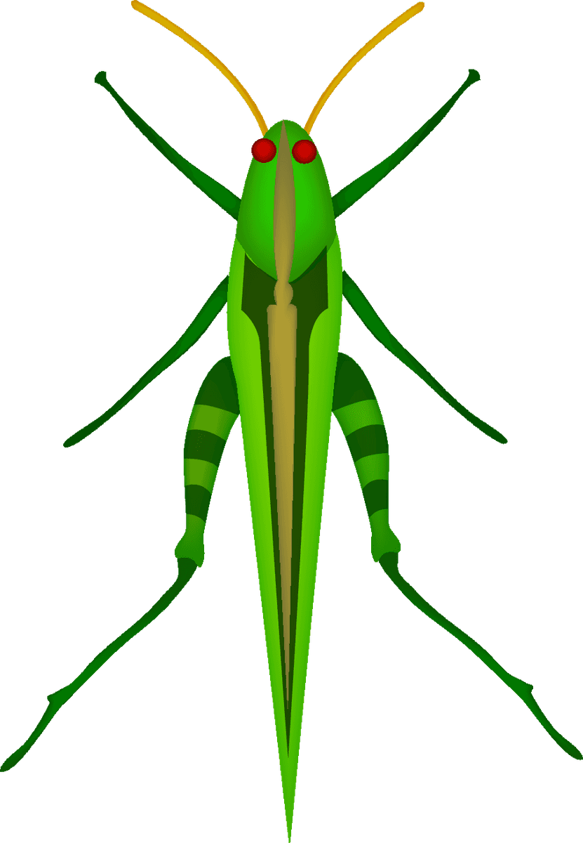 realistic lively insects illustration