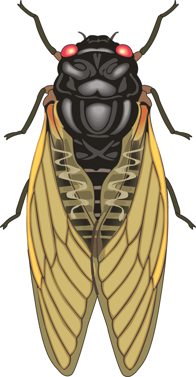 realistic lively insects illustration