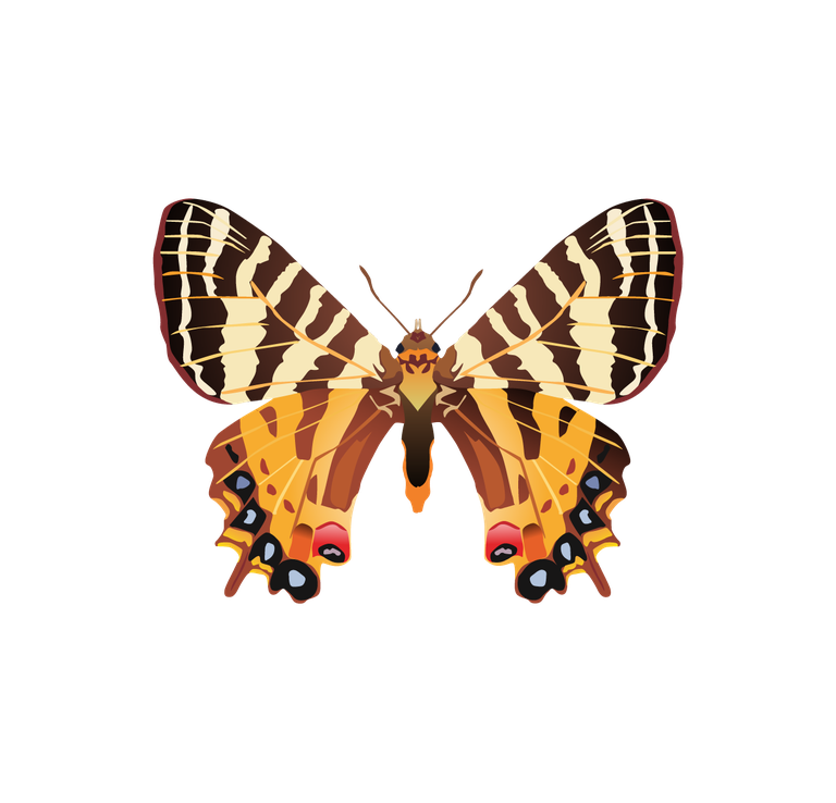 realistic lively insects illustration featuring a vibrant butterfly for educational and decorative purposes