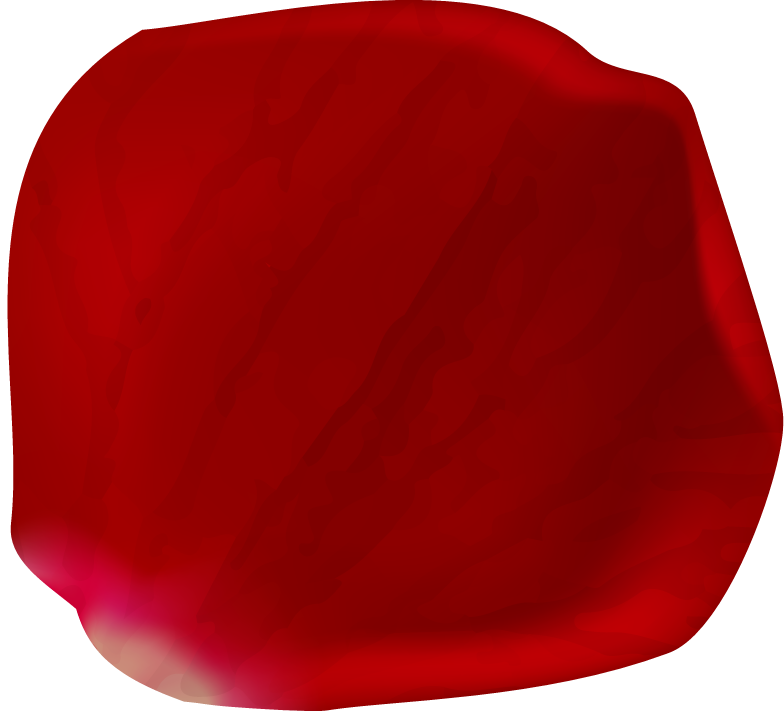 realistic rose petals isolated for romantic decor and floral arrangements
