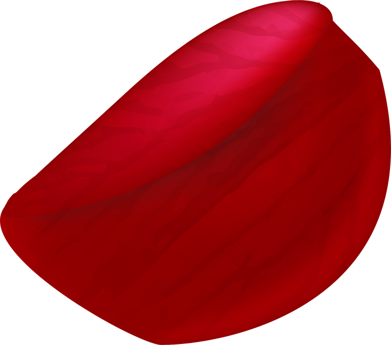 realistic rose petals isolated for floral arrangements and romantic decor ideas