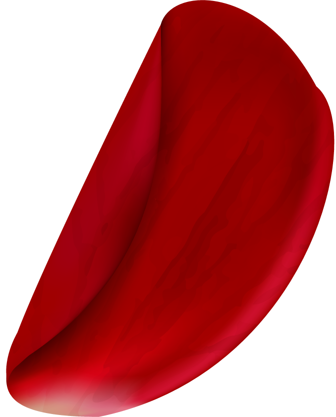 realistic rose petals isolated for floral arrangements and craft projects
