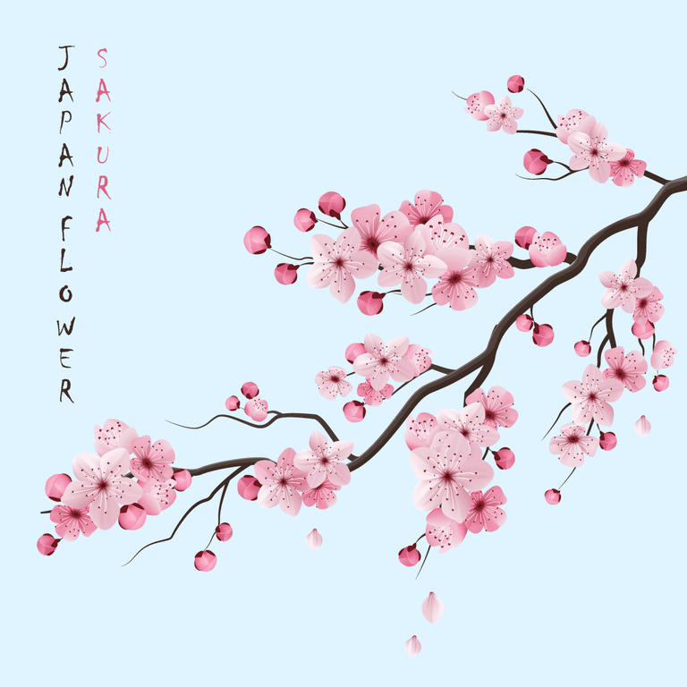 realistic sakura branch patterns and textures