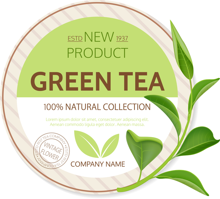 realistic tea leaves labels for organic green tea packaging and branding