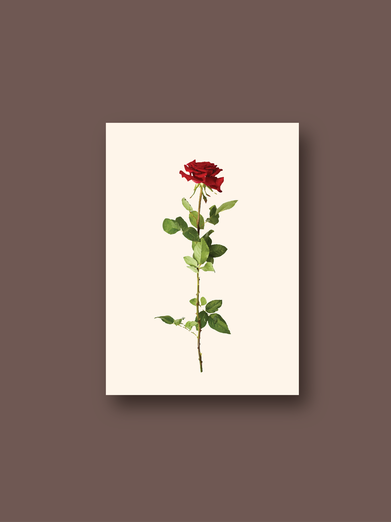 red roses isolated on white vector