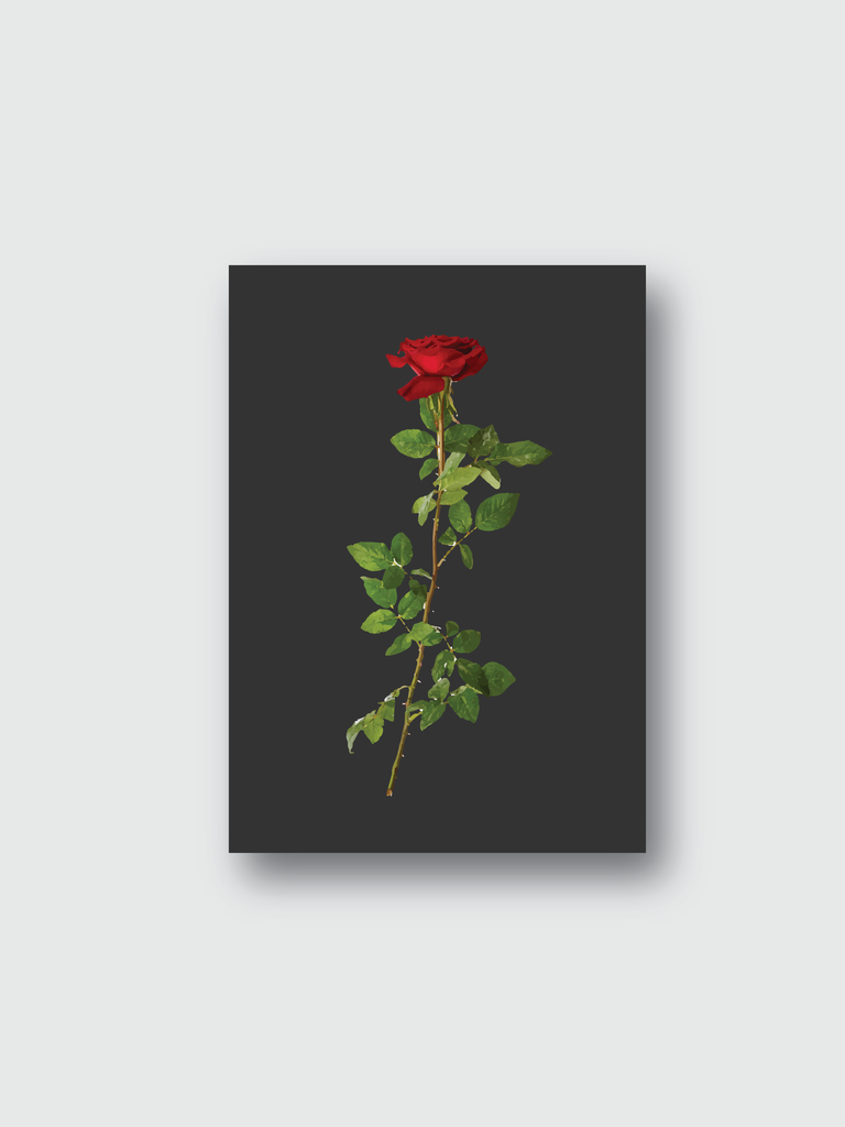 red roses isolated on white vector