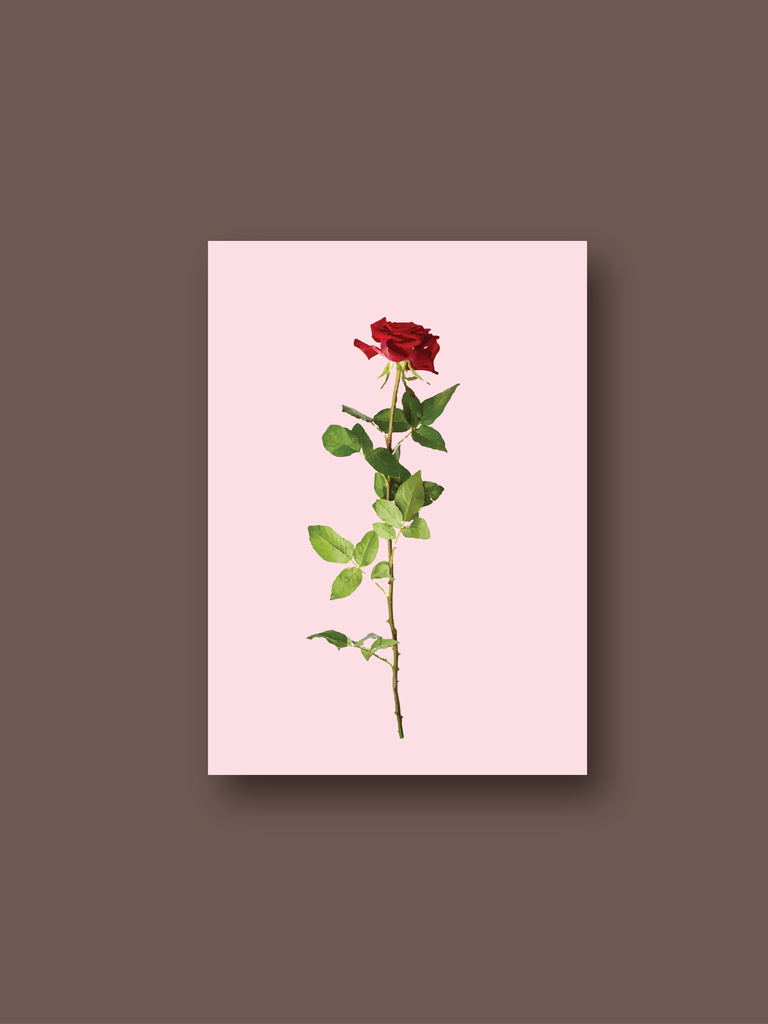 red roses isolated on white vector