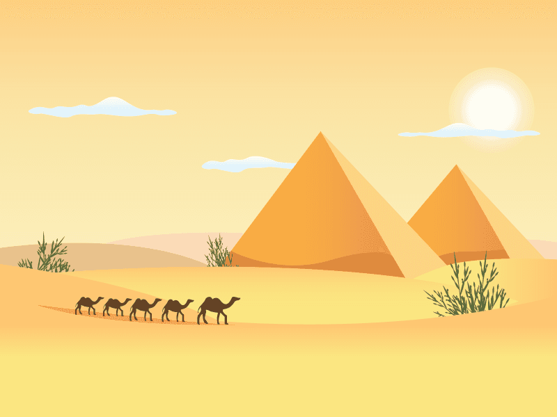 caravan of camels journeys past the pyramids of giza landscape