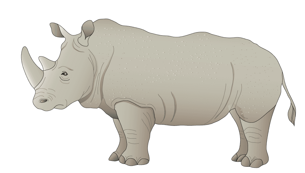 rhino animal models and silhouette vector