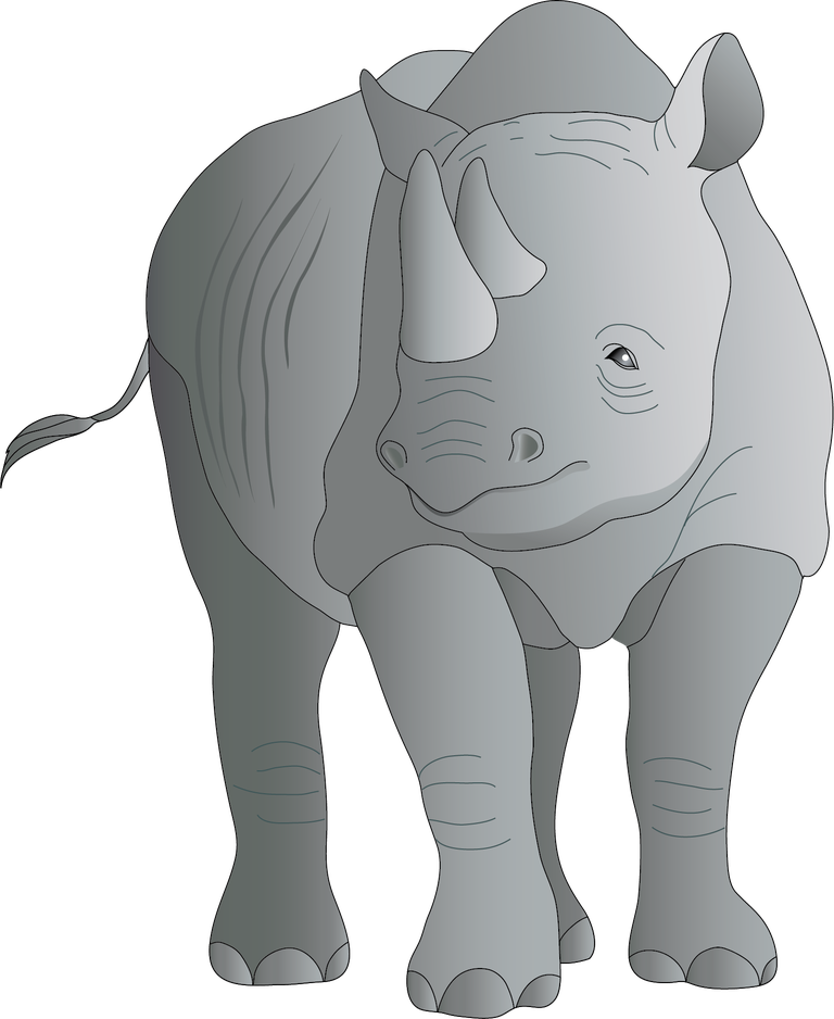 rhino animal models and silhouette vector