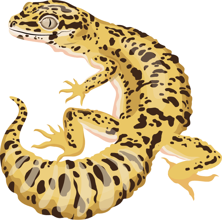 rolling lizard reptile species icons colored gecko salamander dinosaur sketch