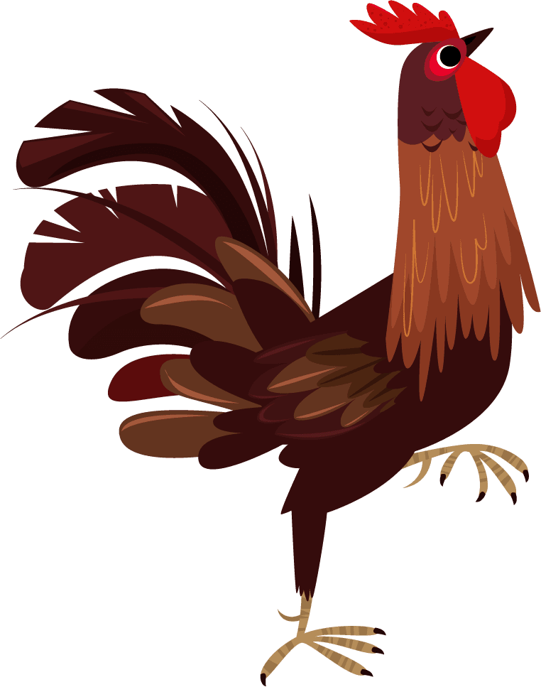 rooster chicken icons colored cartoon sketch