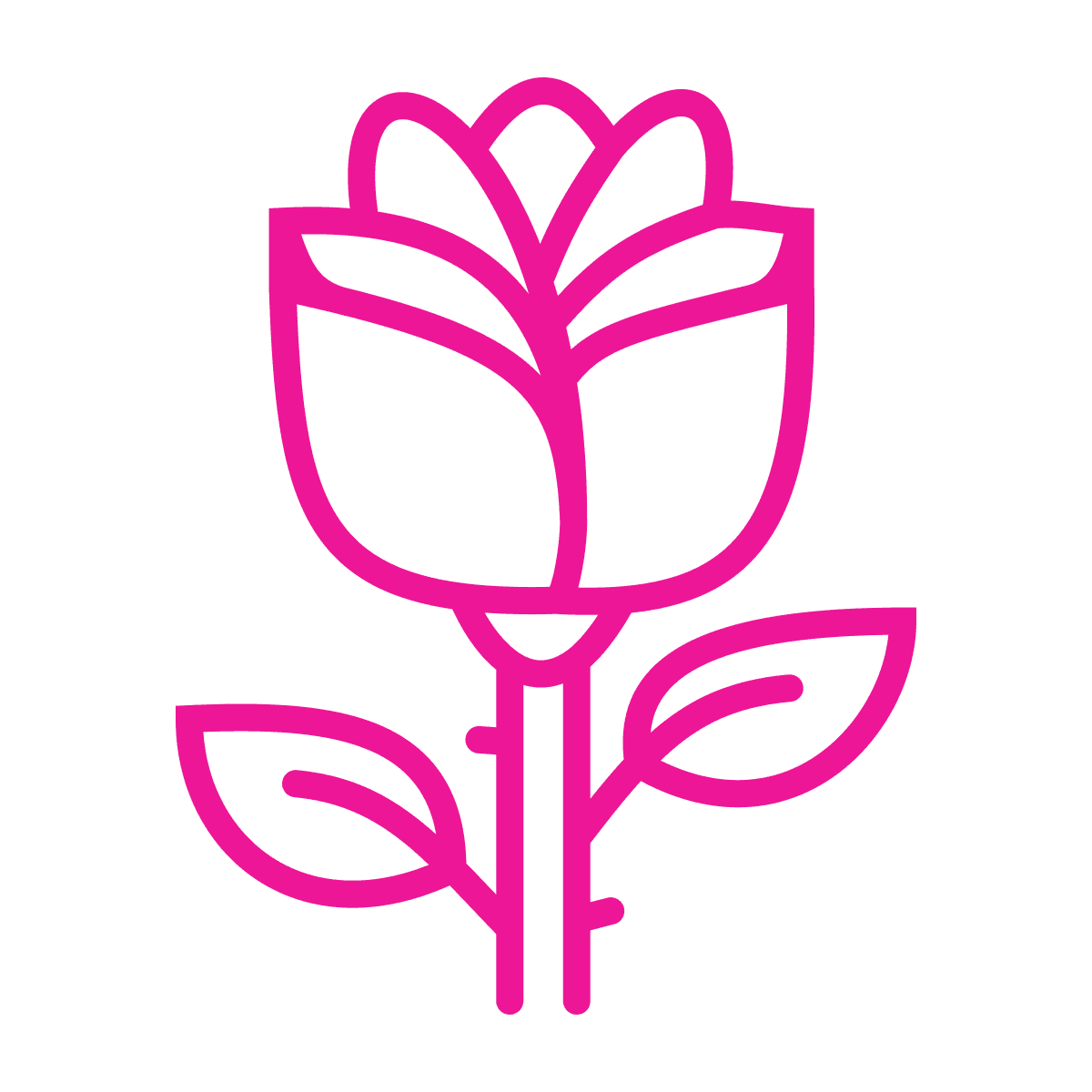 minimalist outline rose icon for romantic love and valentine's day celebrations in floral line art style