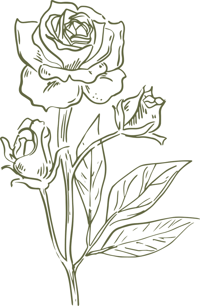 rose realistic hand drawn essential oil herb collection