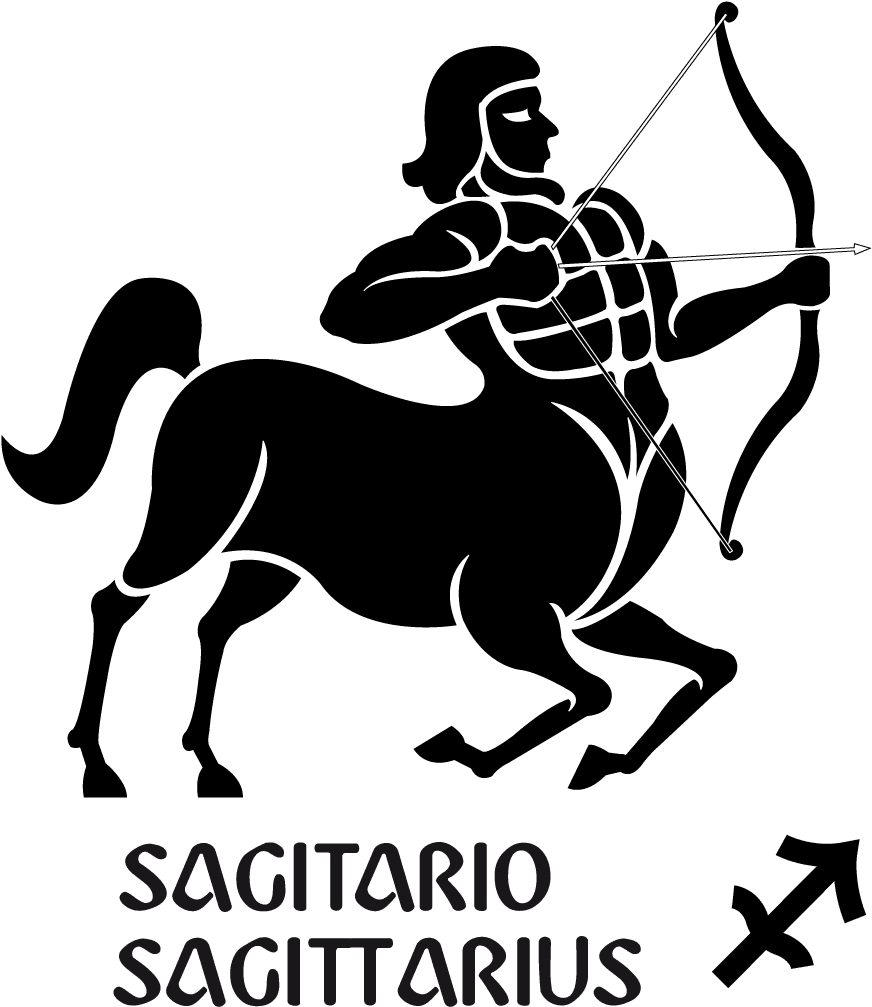 sagitario sagittarius different signs of the zodiac vector