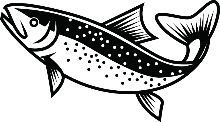 salmon free rainbow trout for your needed