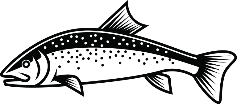salmon free rainbow trout for your needed