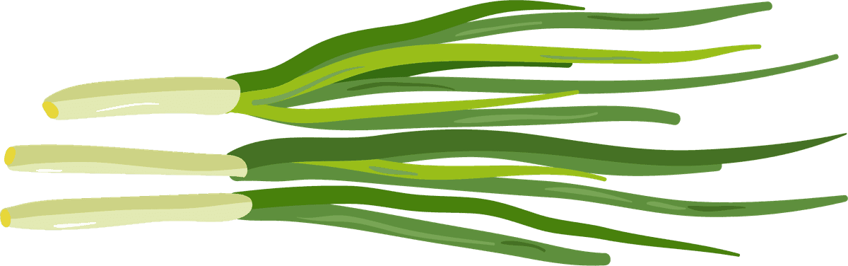 scallion vegetables herbs collection for culinary delights and gardening enthusiasts
