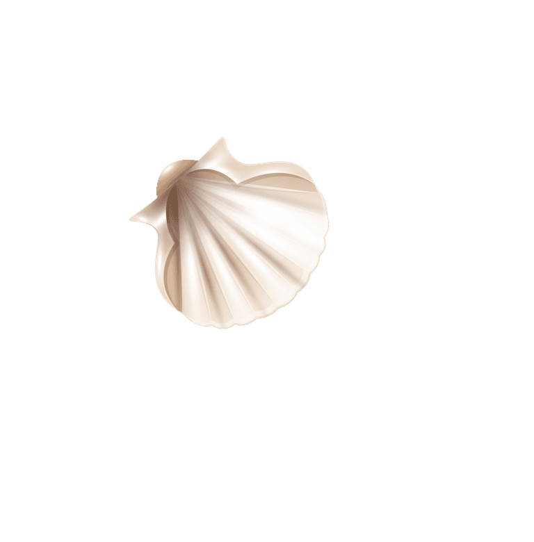 scallops seashell realistic set