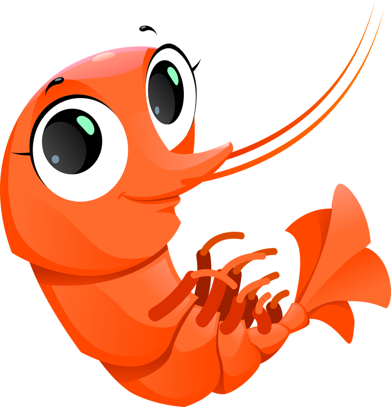 adorable sea animals fish cartoon shrimp character for educational purposes