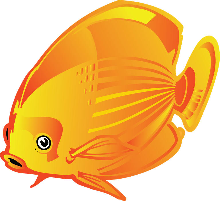 sea fish beautiful underwater fish vector