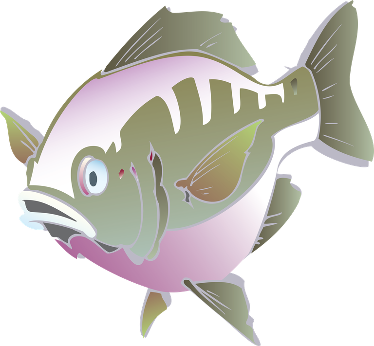 sea fish beautiful underwater fish vector