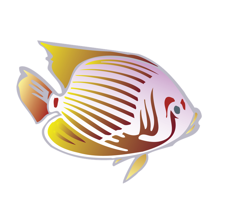 sea fish beautiful underwater fish vector