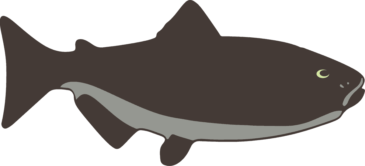 playful sea fish cartoon dolphin illustration for children's education and entertainment