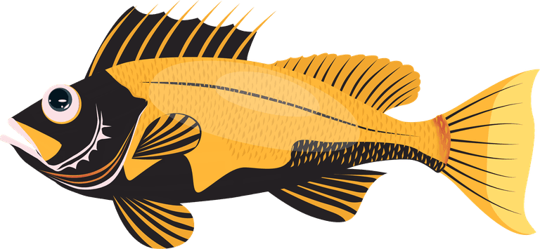 sea fish types of fish marine fishes icons colorful shapes sketch