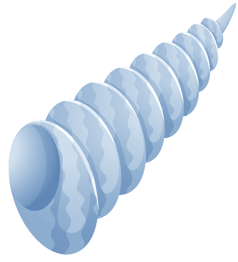 sea snails a blue seashell illustration