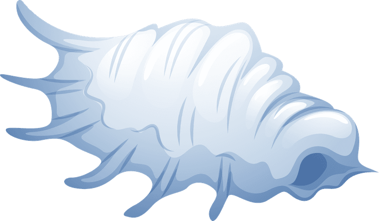 sea snails a blue seashell illustration