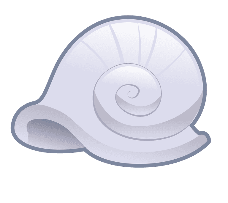 sea snails elements of various cute marine animals vector