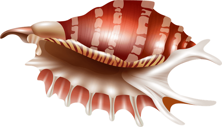 sea snails seashell realistic set