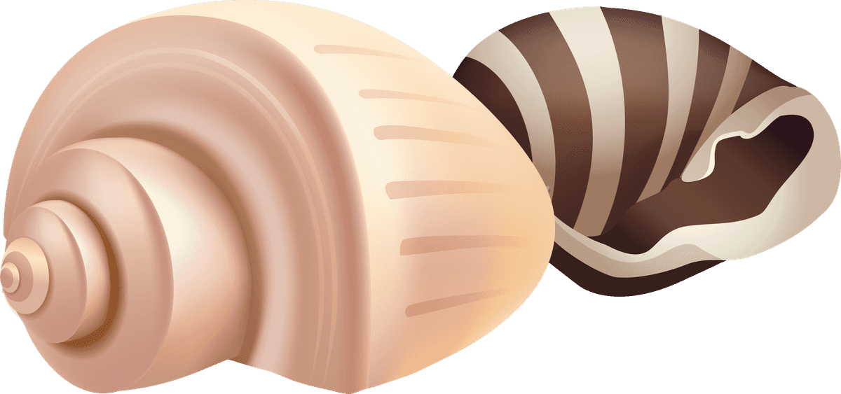 sea snails seashell realistic set