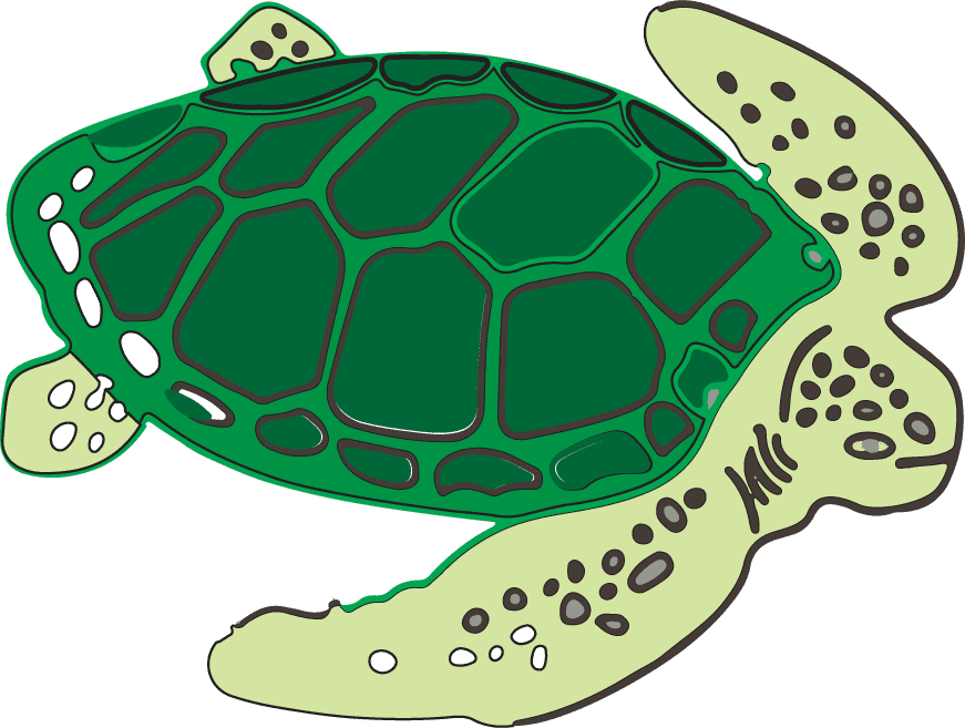 playful sea turtle cartoon dolphin illustration for kids' educational materials