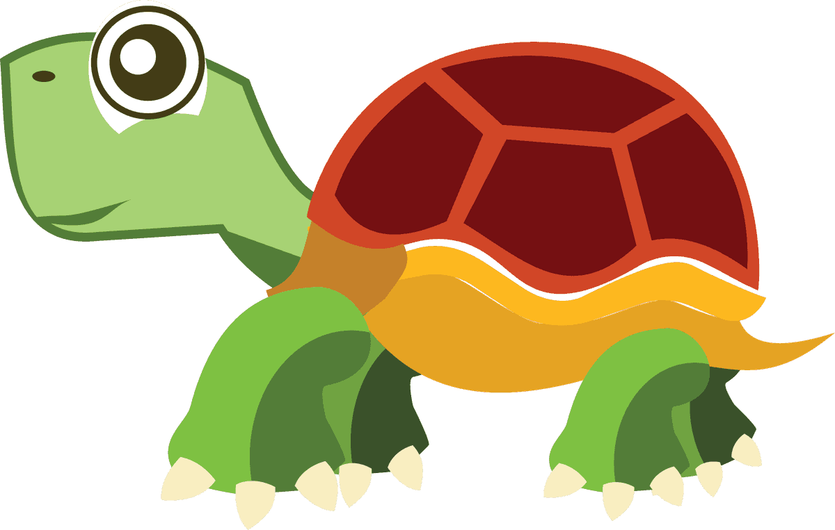 adorable sea turtle cute turtle cartoon for kids and educational purposes