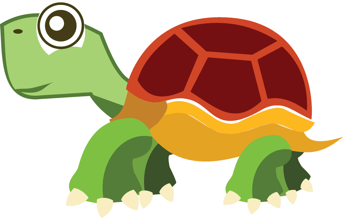 sea turtle cute turtle cartoon