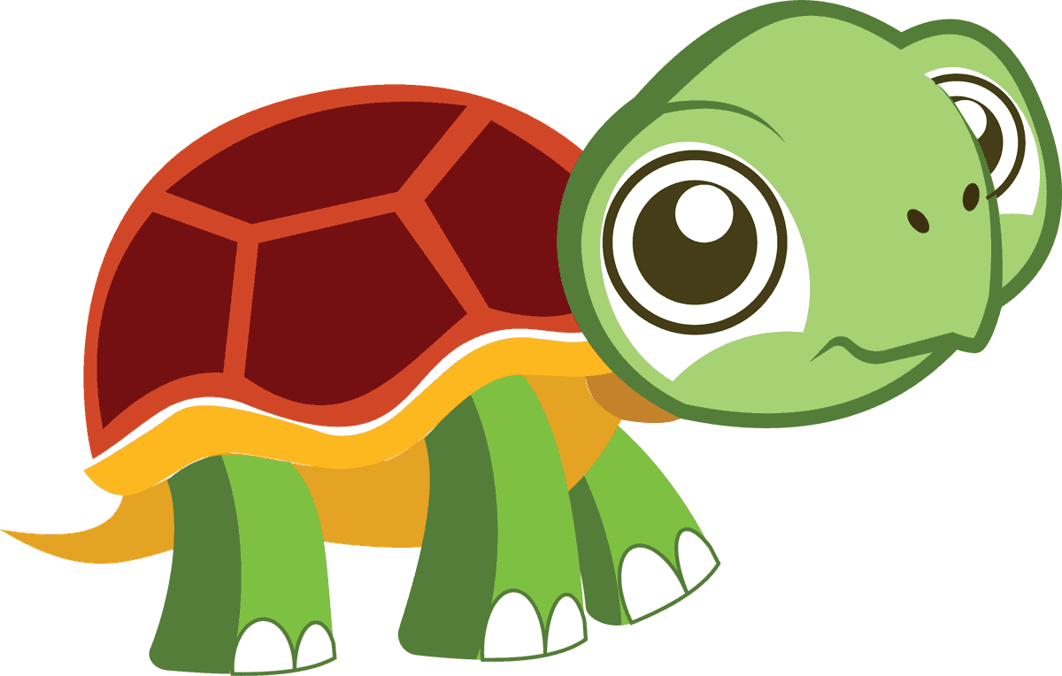 sea turtle cute turtle cartoon