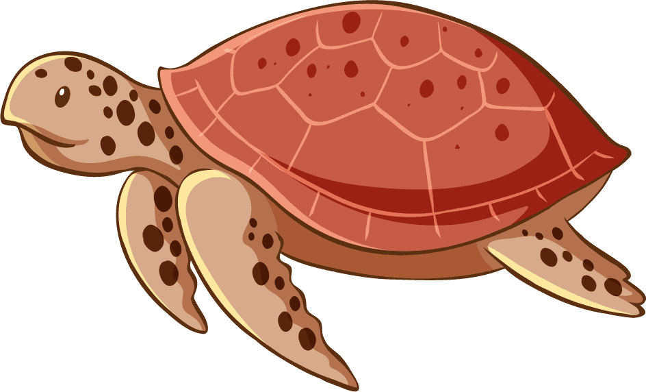 colorful sea turtle isolated sea creatures perfect for educational content and marine themes