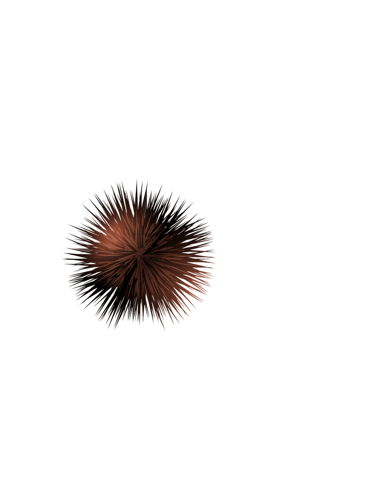 sea urchin seashell realistic set